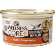 20% OFF: Wellness Core+ Digestive Health Chicken Pate Grain-Free Canned Cat Food 85g Online now