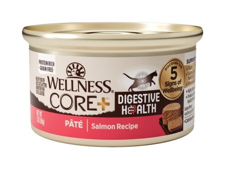 20% OFF: Wellness Core+ Digestive Health Salmon Pate Grain-Free Canned Cat Food 85g Online