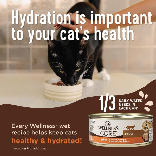 20% OFF: Wellness Core+ Digestive Health Chicken Pate Grain-Free Canned Cat Food 85g Online now