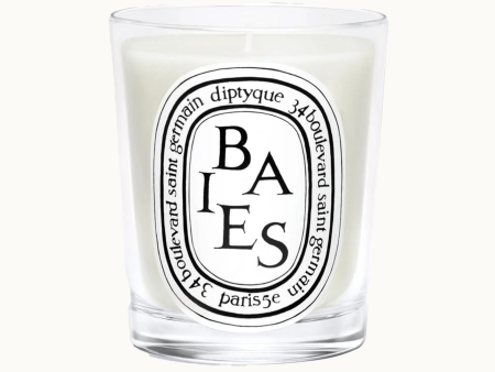 Baies (Berries) Classic Candle Online now