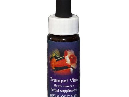 Fes Quintessentials Trumpet Vine 7.5ml Cheap