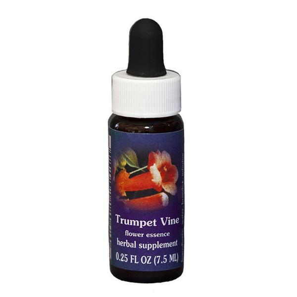 Fes Quintessentials Trumpet Vine 7.5ml Cheap