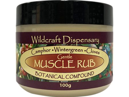 Wildcraft Dispensary Gentle Muscle Rub Natural Ointment 100g on Sale