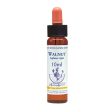 Healing Herbs Walnut Bach Flower Remedy 10ml Cheap