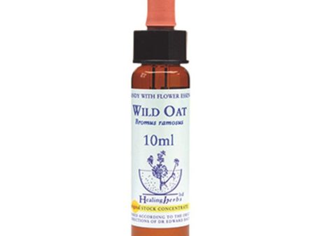 Healing Herbs Wild Oat Bach Flower Remedy 10ml Supply