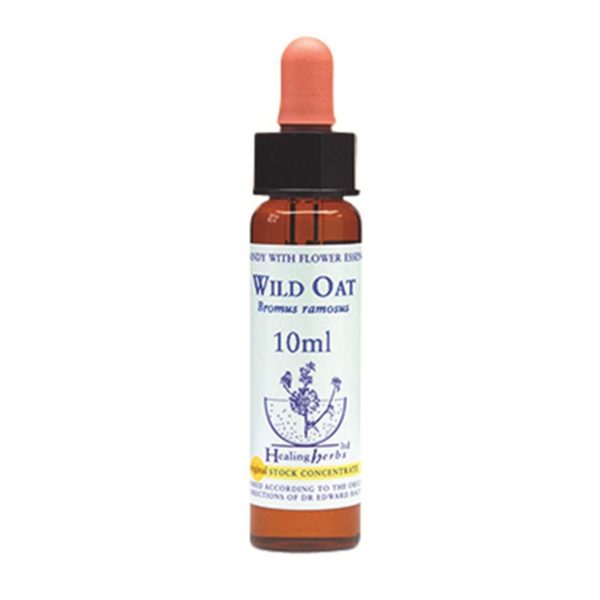 Healing Herbs Wild Oat Bach Flower Remedy 10ml Supply