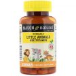 Mason Natural Little Animals Multivitamins Fruity Flavors 120 Chewables Online