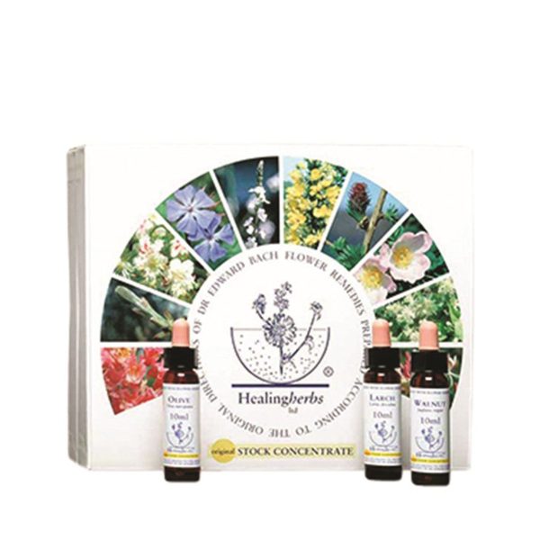 Healing Herbs Bach Flower Remedy 10ml x 40 Box Set Cheap