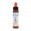 Healing Herbs Honeysuckle Bach Flower Remedy 10ml For Sale