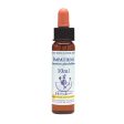 Healing Herbs Impatiens Bach Flower Remedy 10ml For Cheap