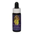 Fes Quintessentials Scotch Broom 7.5ml For Sale