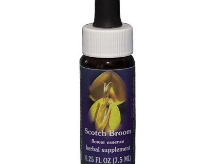 Fes Quintessentials Scotch Broom 7.5ml For Sale