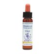 Healing Herbs Mimulus Bach Flower Remedy 10ml on Sale