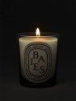 Baies (Berries) Classic Candle Online now