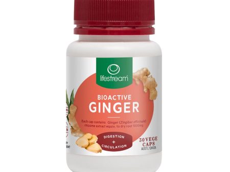 LifeStream Bioactive Ginger 30 Veggie Capsules Online