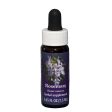 Fes Quintessentials Rosemary 7.5ml on Sale