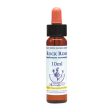 Healing Herbs Rock Rose Bach Flower Remedy 10ml Online Hot Sale