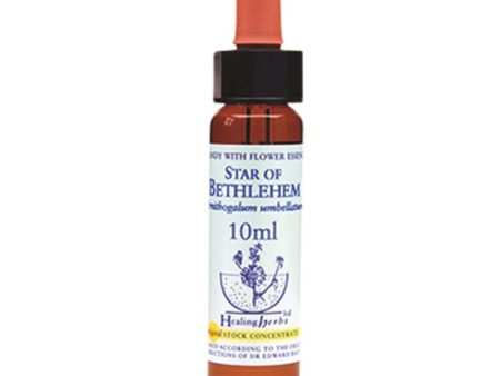 Healing Herbs Star Of Bethlehem Bach Flower Remedy 10ml Hot on Sale