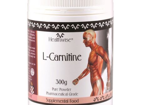 Healthwise L-Carnitine 300g Supply