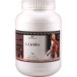 Healthwise L-Carnitine 1Kg Supply