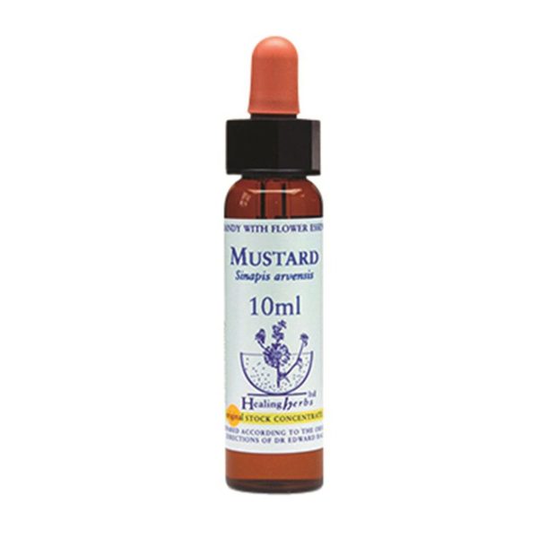 Healing Herbs Mustard Bach Flower Remedy 10ml For Sale