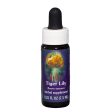 Fes Quintessentials Tiger Lily 7.5ml Hot on Sale