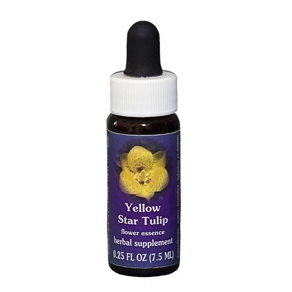 Fes Quintessentials Yellow Star Tulip 7.5ml For Discount