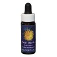 Fes Quintessentials Star Thistle 7.5ml For Discount