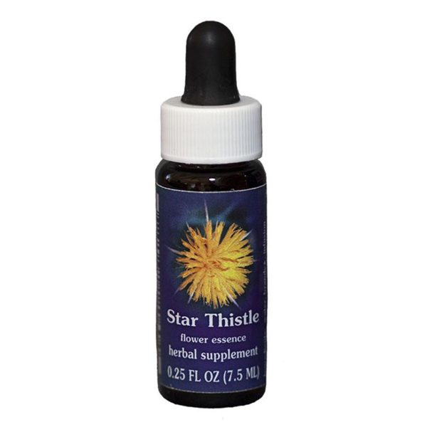 Fes Quintessentials Star Thistle 7.5ml For Discount