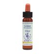 Healing Herbs Gorse Bach Flower Remedy 10ml Hot on Sale