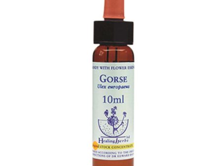 Healing Herbs Gorse Bach Flower Remedy 10ml Hot on Sale