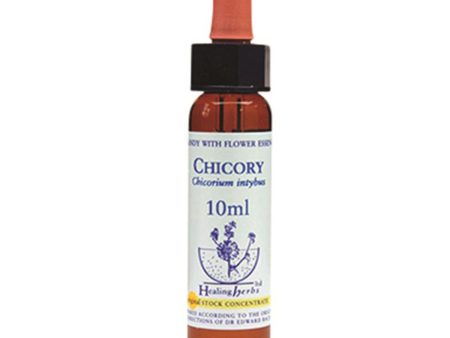 Healing Herbs Chicory Bach Flower Remedy 10ml Online