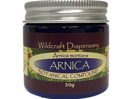 Wildcraft Dispensary Arnica Natural Ointment 50g Online Hot Sale