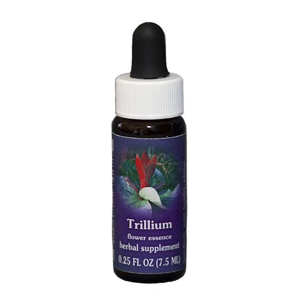 Fes Quintessentials Trillium 7.5ml Supply