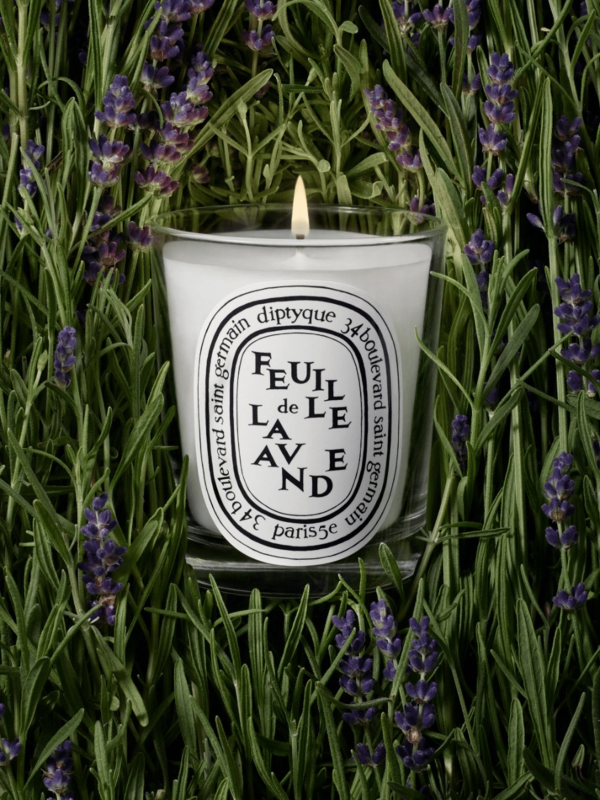 Feuille de Lavande Classic Candle Discount