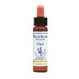 Healing Herbs Wild Rose Bach Flower Remedy 10ml Discount