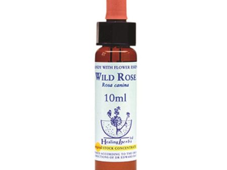 Healing Herbs Wild Rose Bach Flower Remedy 10ml Discount