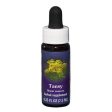 Fes Quintessentials Tansy 7.5ml For Sale