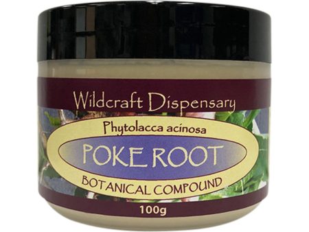 Wildcraft Dispensary Poke Root Natural Ointment 100g Sale