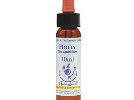 Healing Herbs Holly Bach Flower Remedy 10ml Online