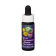 Fes Quintessentials Yarrow Environmental Solution 7.5ml Online Hot Sale