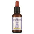 Healing Herbs 5 Flower Emergency Bach Flower Remedy 30ml Fashion