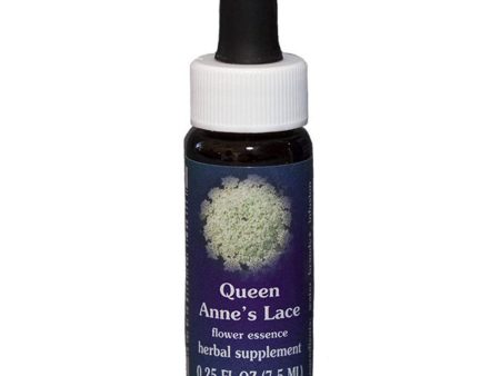 Fes Quintessentials Queen Anne S Lace 7.5ml Fashion