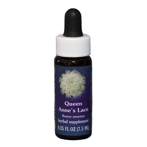 Fes Quintessentials Queen Anne S Lace 7.5ml Fashion