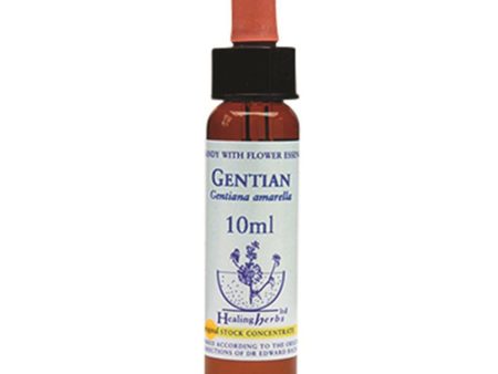 Healing Herbs Gentian Bach Flower Remedy 10ml Cheap