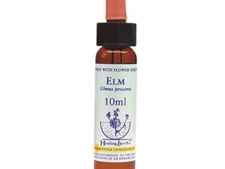 Healing Herbs Elm Bach Flower Remedy 10ml Sale