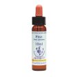 Healing Herbs Pine Bach Flower Remedy 10ml on Sale