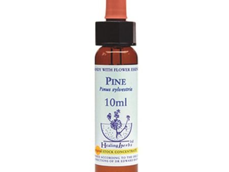 Healing Herbs Pine Bach Flower Remedy 10ml on Sale