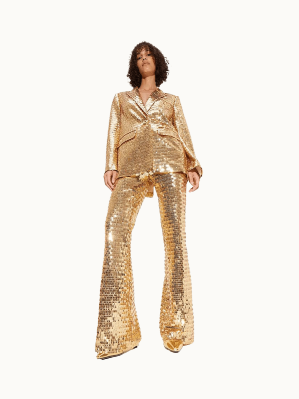 Robo Sequin Pant Online Sale