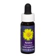 Fes Quintessentials Arnica 7.5ml Hot on Sale